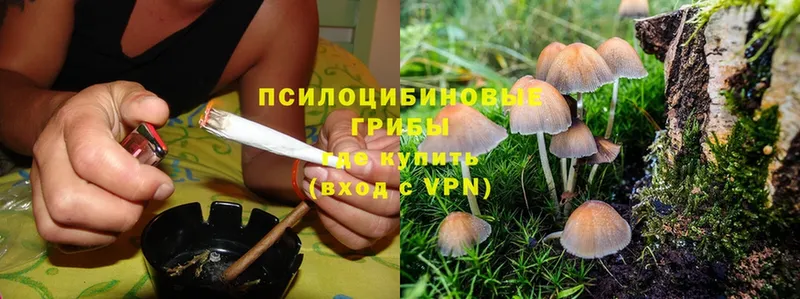 Галлюциногенные грибы Magic Shrooms  продажа наркотиков  Агрыз 